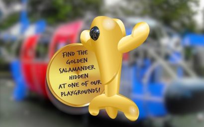 Golden Salamander Playground Equipment Competition