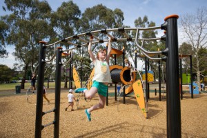 Monkey Bars Sir William