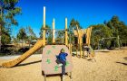 QLD - Eagle Street Park Playground