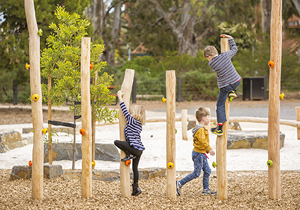 Climbing and balancing trails