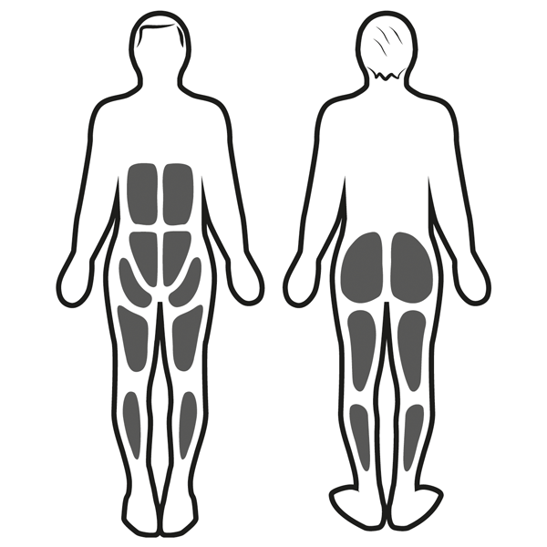 Stimulation musculaire