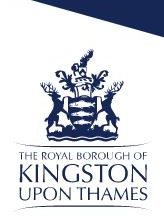 Royal Borough of Kingston Upon Thames Small White Logo