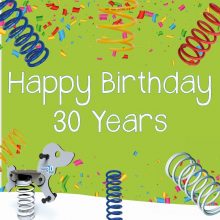 30th birthday aniversary springer promotion large green square graphic
