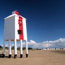 burhamossea