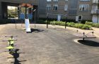 Nagelkruid, Vlaardingen