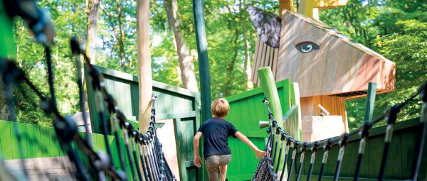 All our Sustainable Natural Wood products